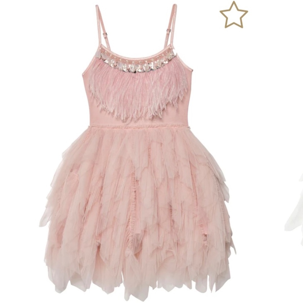 Tutu Du Monde dress